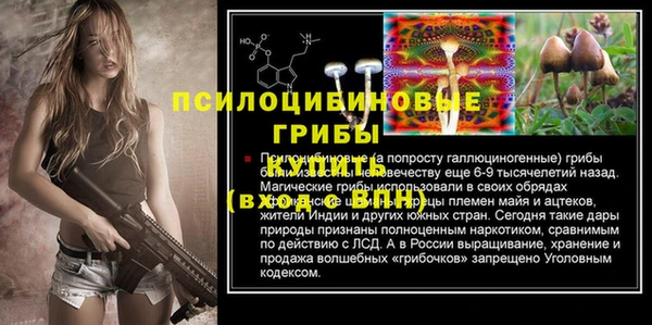 jwh Абаза